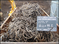 横浜市公共工事14